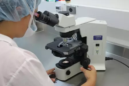 Изучена способность давно умерших бактерий влиять на длительность болезни Лайма