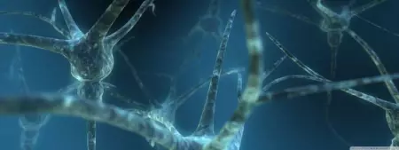 Мозговые волны сна можно использовать для диагностики деменции и когнитивных нарушений