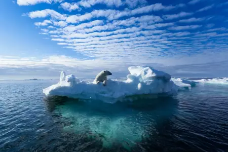 Охлаждение морей происходят на 25% реже и на 15% менее интенсивно, чем в 1980-х годах