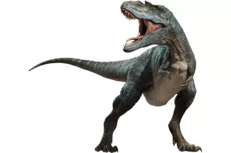 Останки тираннозавра указывают на два возможных вида, отличных от T. rex